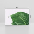 Obraz na płótnie 70x50 - Zielone liście monstery - liście, monstera