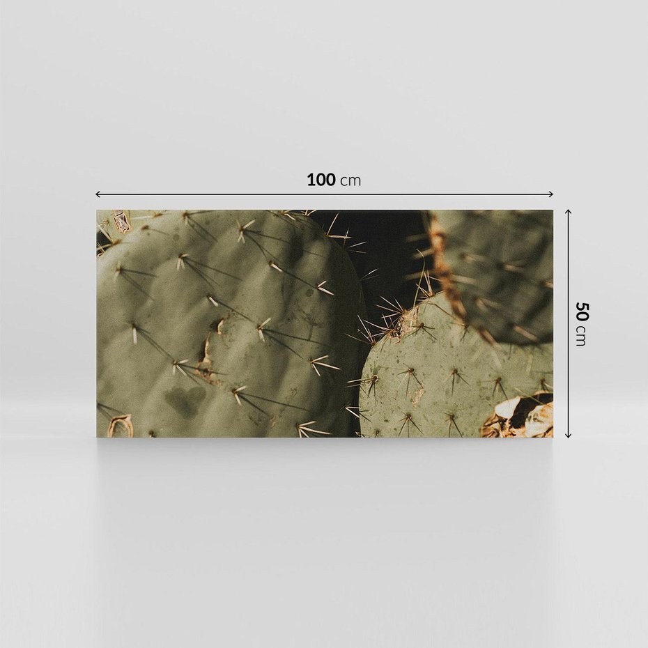 Obraz na płótnie 100x50 - Urok Egzotyki - kaktusy, boho