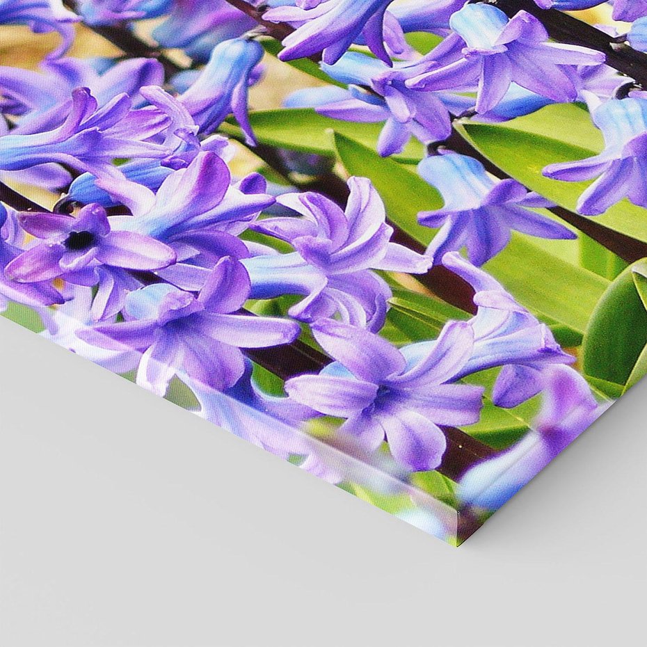 Obraz na płótnie 120x80 - Kwiatowy wibrant piękno natury - kwiat, kwiaty