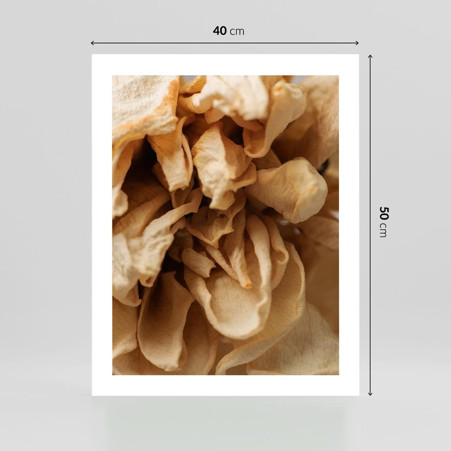 Plakat bez ramy 40x50 - Zjawiskowe zasuszone kwiaty - zasuszone, kwiaty