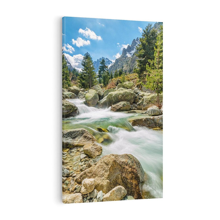 Obraz na płótnie 80x120 - Górski strumyk w harmonii - strumyk, górski