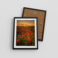 Plakat w ramie 30x40 - Maki przy zachodzie słońca - maki, zachód - rama czarna