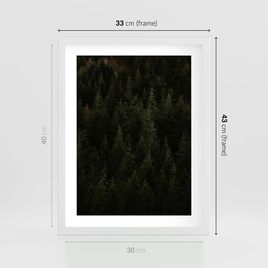 Plakat w ramie 30x40 - Ciemny las iglasty - las, iglasty - rama biała