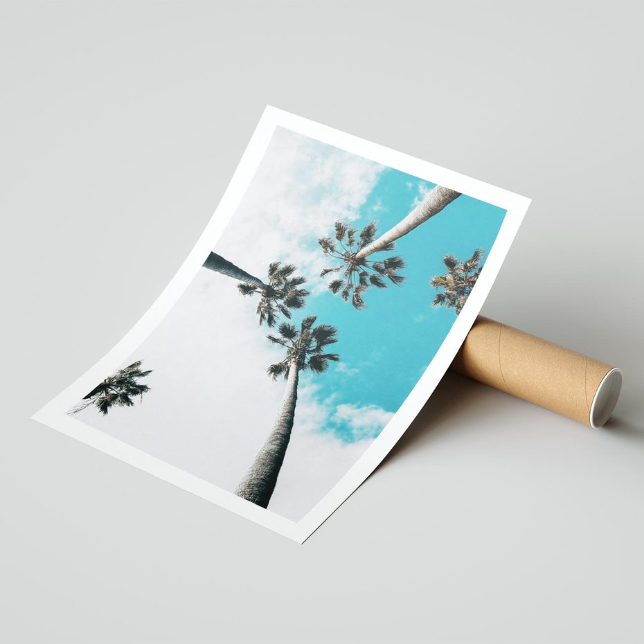 Plakat bez ramy 21x30 - Palmy w Gorącym Niebie - palmy, ujęcie z dołu