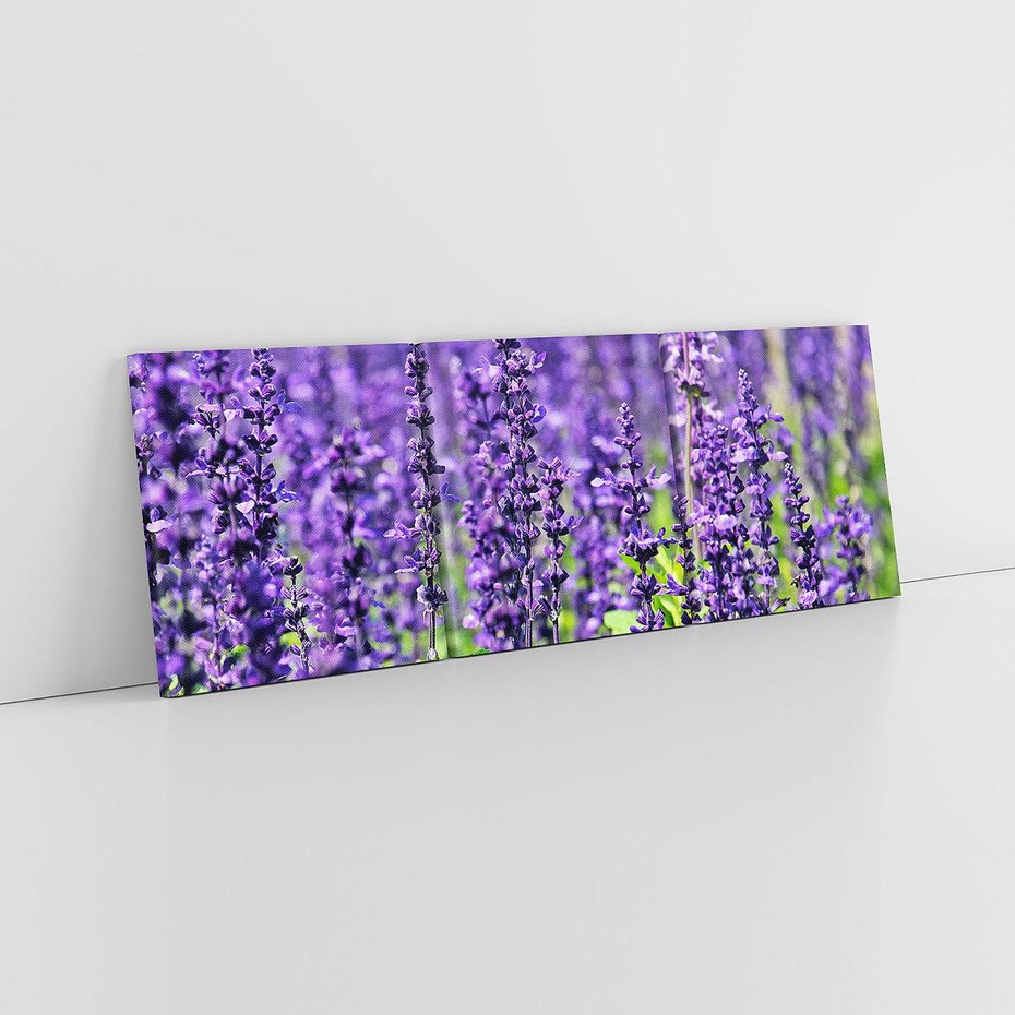 Obraz na płótnie 120x40 - Lawendowa Mgła - lawenda, kwiat