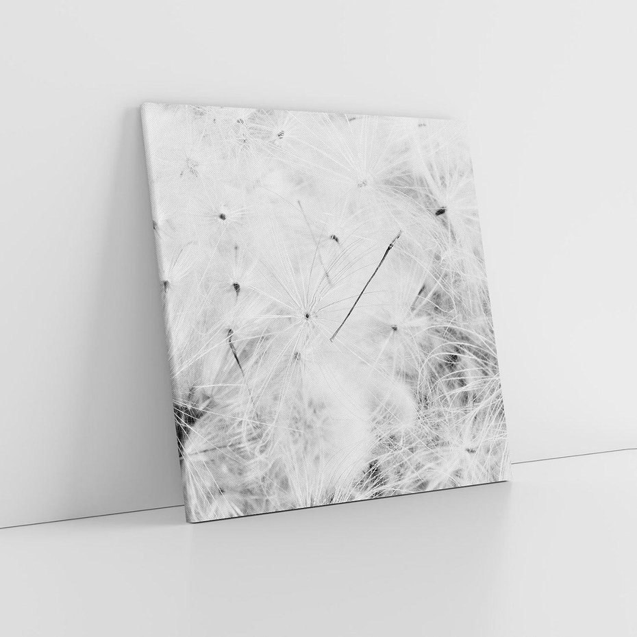 Obraz na płótnie 50x50 - Zdmuchnięty Puch - dmuchawce, delikatne