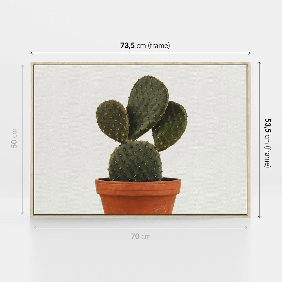 Obraz w ramie 70x50 - Kwiatowy taniec kaktusa - kaktus, kwiat - rama drewno