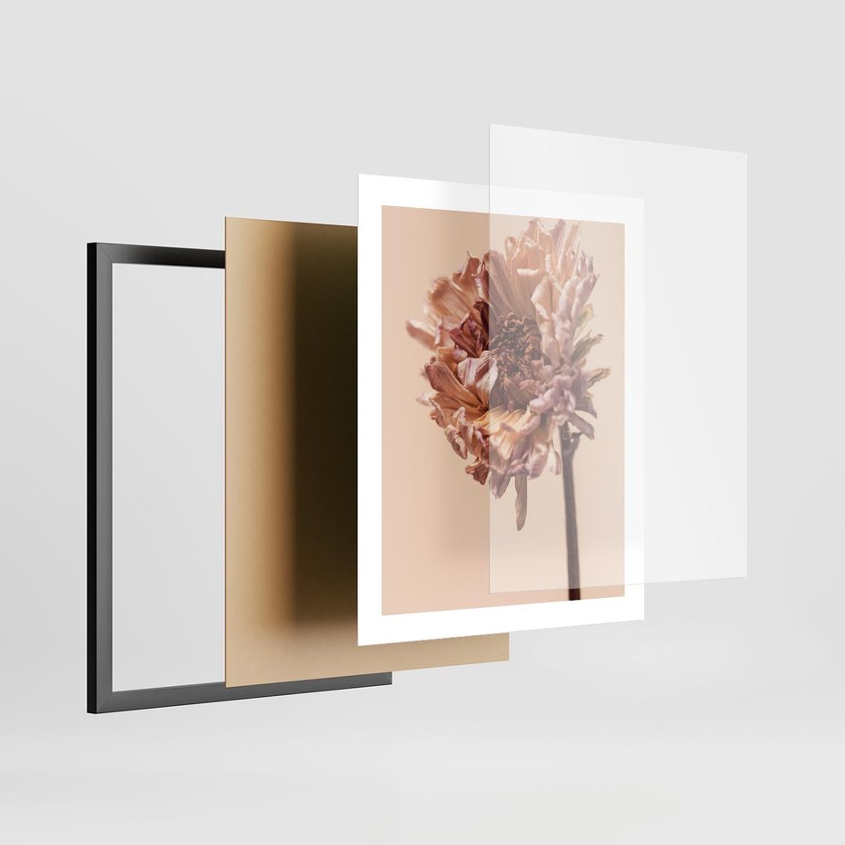 Plakat w ramie 40x50 - Delikatne piękno - suche, kwiaty - rama czarna