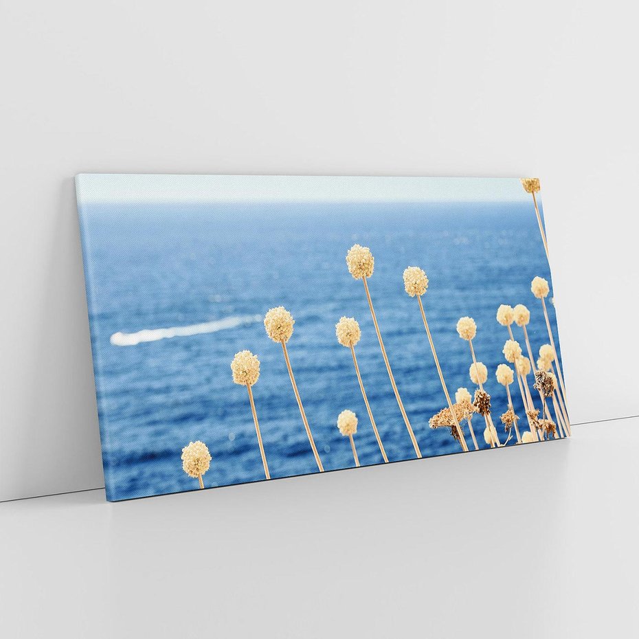 Obraz na płótnie 140x70 - Kontrasty Natury - fotografia, pierwszy plan sucha roślinność