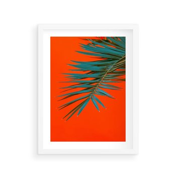 Plakat w ramie 50x70 - Egzotyczny Urok - liście, palma - rama biała