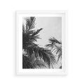 Plakat w ramie 40x50 - Palmy w Monochromii - palmy, tropikalne palmy - rama biała