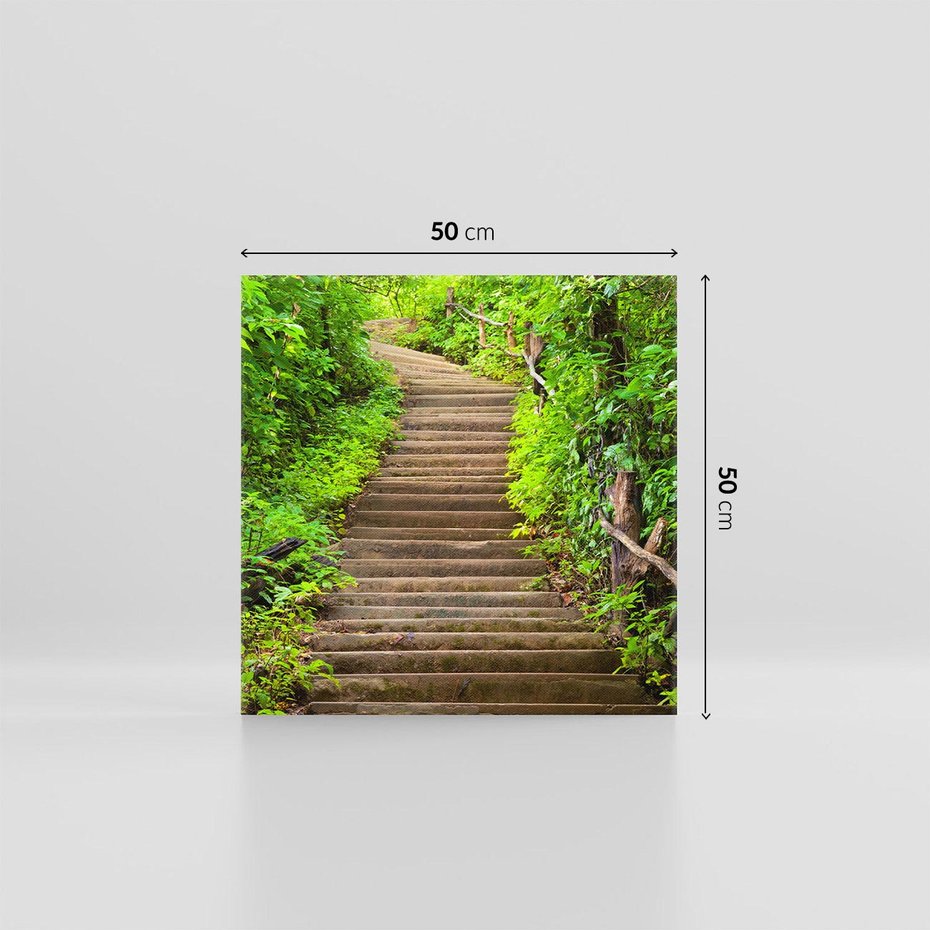 Obraz na płótnie 50x50 - Magia Leśnej Ścieżki - ścieżka, w lesie