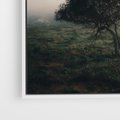 Obraz w ramie 50x50 - Zamglona Prostota - artystyczna fotografia, samotne drzewo na zamglonej łące - rama biała