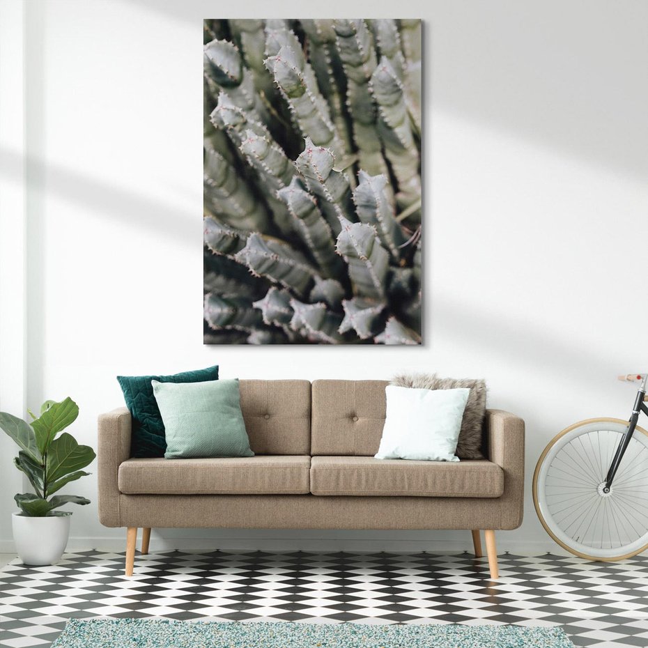 Obraz na płótnie 70x100 - Boho kaktusy na pustyni - kaktusy, pustynia