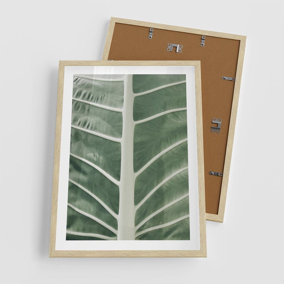 Plakat w ramie 50x70 - Zielone Wielkości: Zbliżenie Liścia - zbliżenie duz liść, jasna zieleń - rama drewno