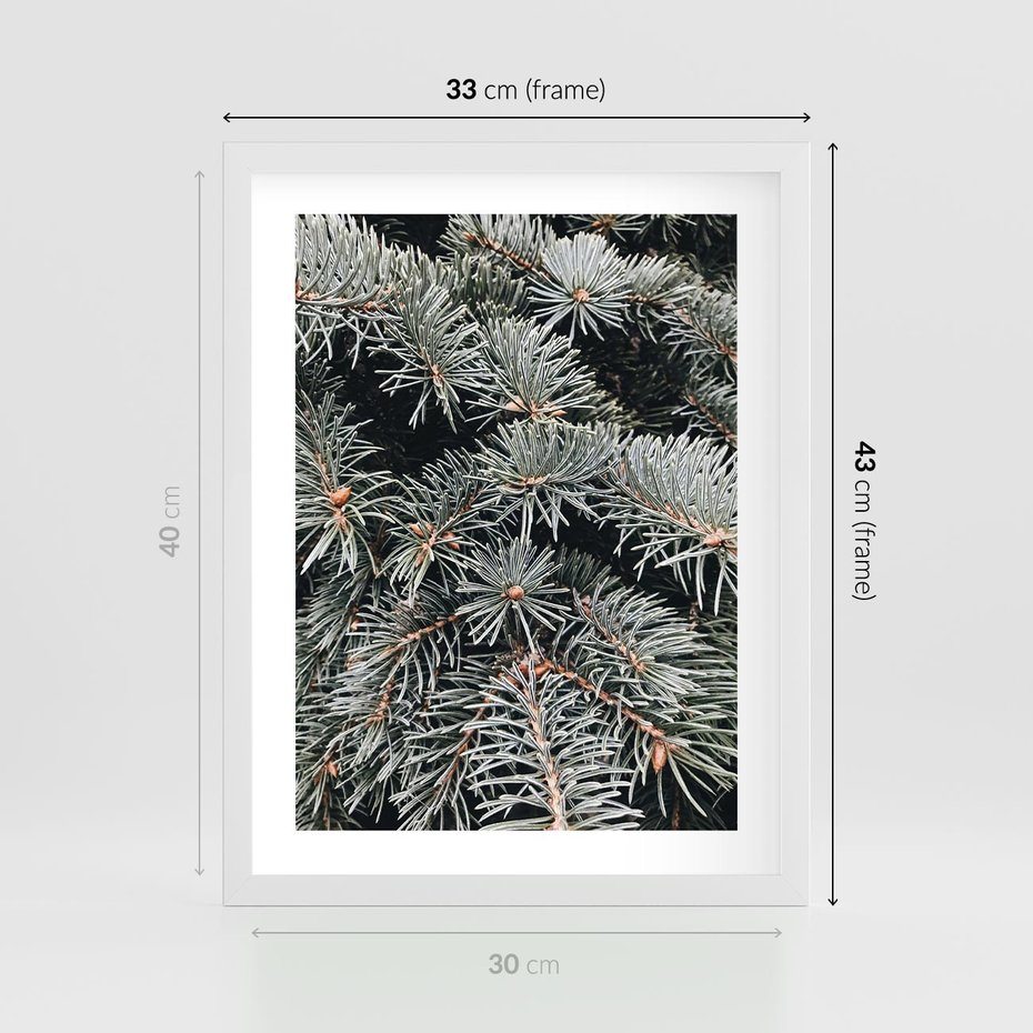 Plakat w ramie 30x40 - Zima na Gałęziach - sosnowe gałęzie, igły - rama biała