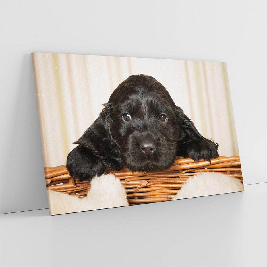 Obraz na płótnie 120x80 - Uroczy szczeniak w akcji - piesek, szczeniak