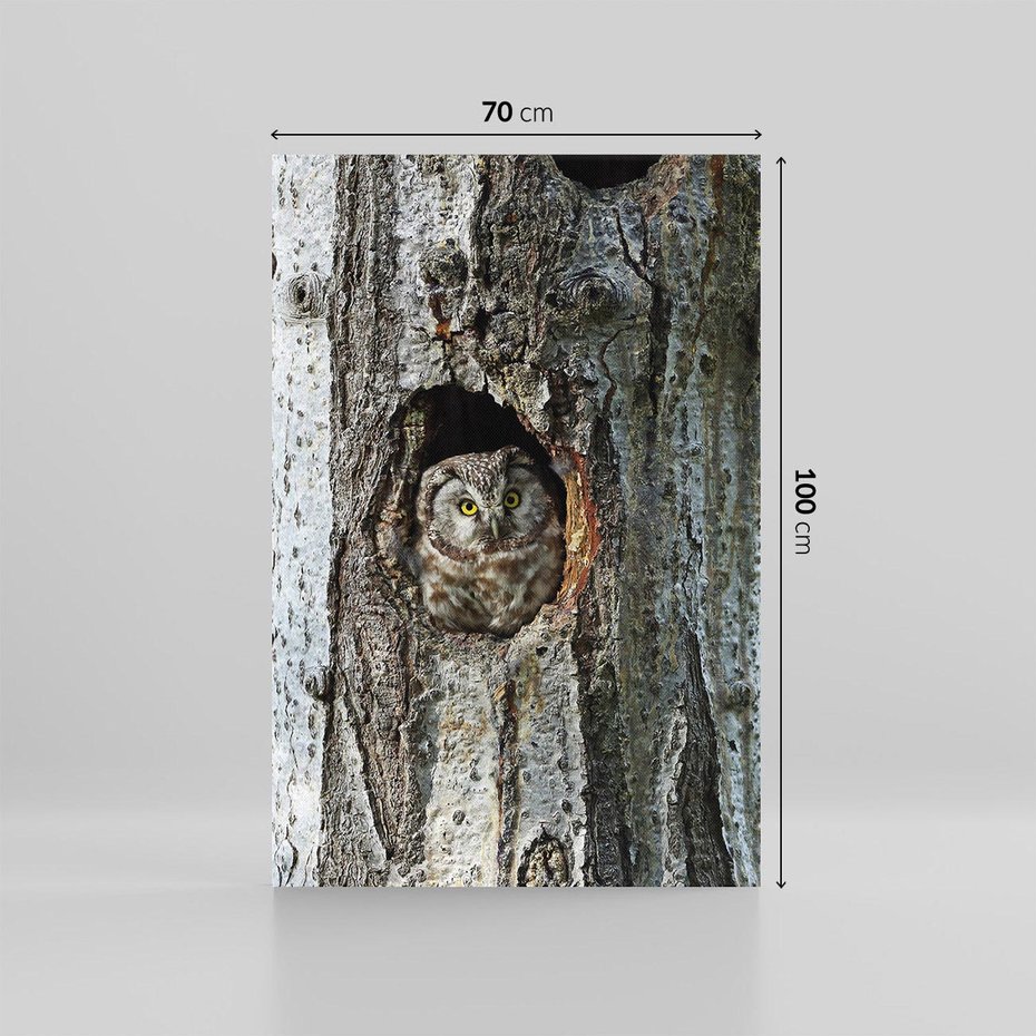 Obraz na płótnie 70x100 - Tajemniczy W świecie Nocy - sowa, dziupla