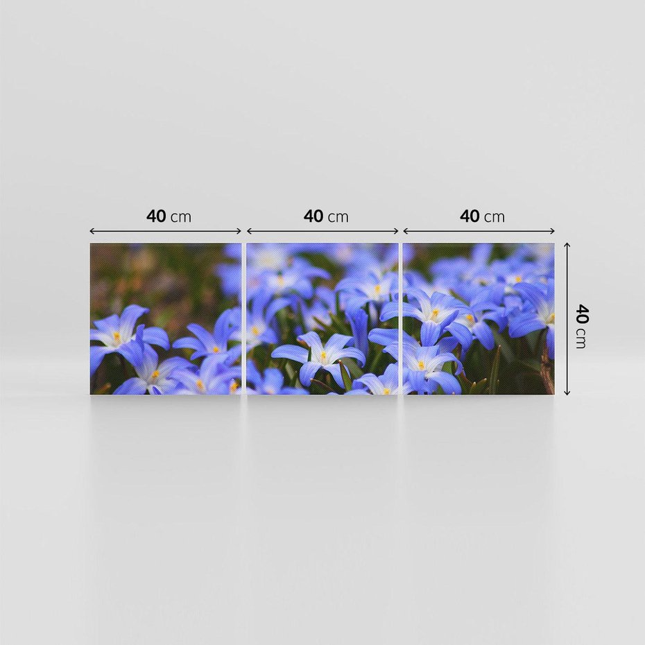 Obraz na płótnie 120x40 - Kwiatowy raj w naturze - kwiat, kwiaty