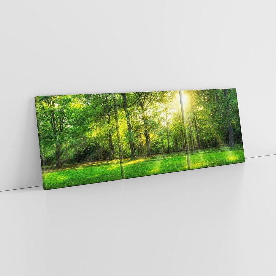 Obraz na płótnie 120x40 - Moc lasu - las, drzewa