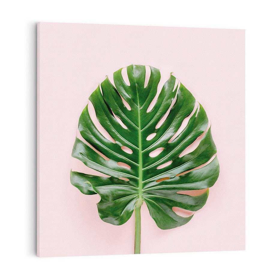 Obraz na płótnie 40x40 - Egzotyczna Roślinność - liście, monstera
