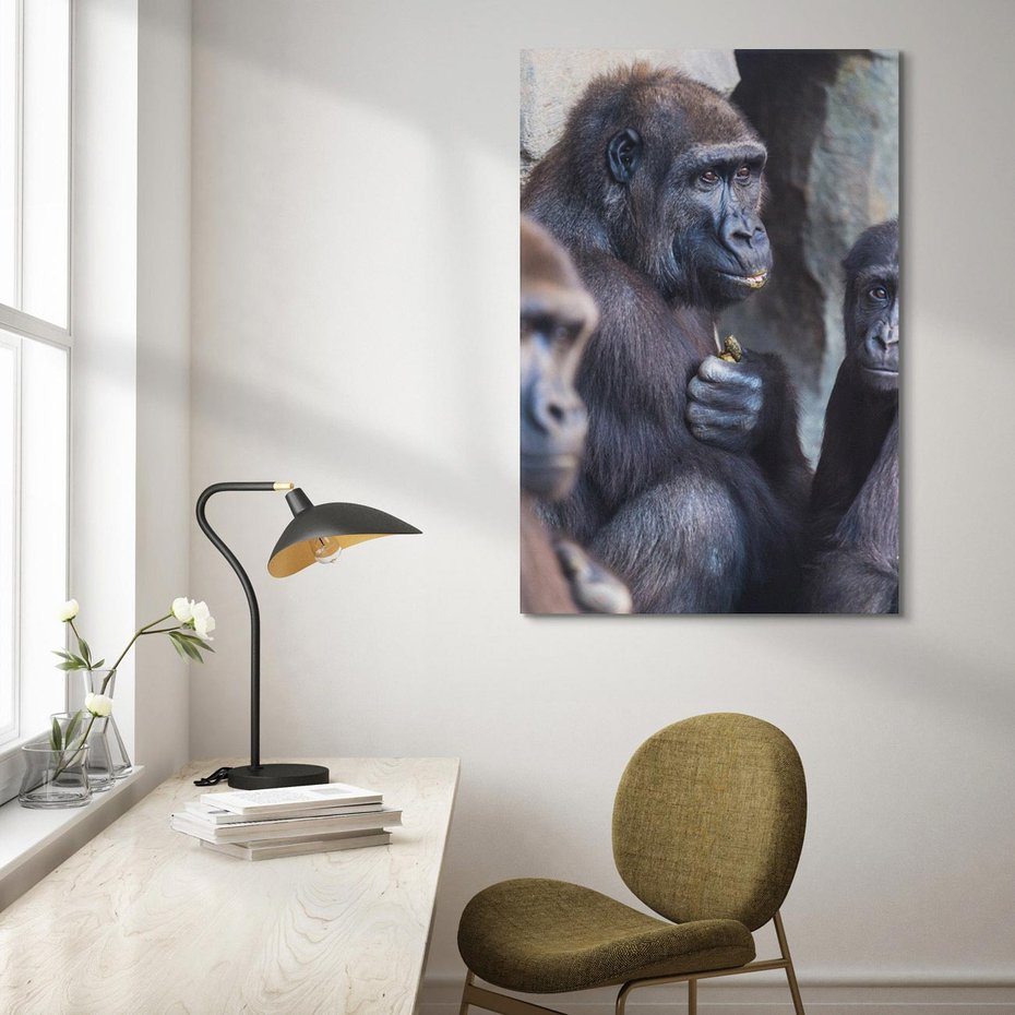 Obraz na płótnie 80x120 - Małpy w ich naturalnym środowisku - małpy, szympansy