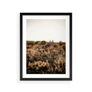 Plakat w ramie 50x70 - Krajobraz W Naturze: Beże i Brązy - suche krzewy, natura - rama czarna