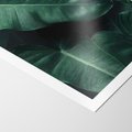 Plakat bez ramy 21x30 - Liście Bananowca - minimalizm, zielone liście bananowca