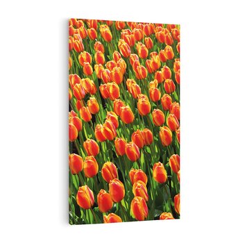 Obraz na płótnie 80x120 - Urok tulipanów piękno kwiatów - tulipany, kwiaty
