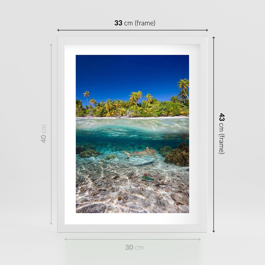 Plakat w ramie 30x40 - Tropikalne Morze i Kolorowa Rafa - tropikalne, morze - rama biała