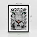 Plakat w ramie 30x40 - Magia Białego Tygrysa - biały, tygrys - rama czarna