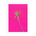 Plakat bez ramy 30x40 - Retro Stylizacja - palma, liście
