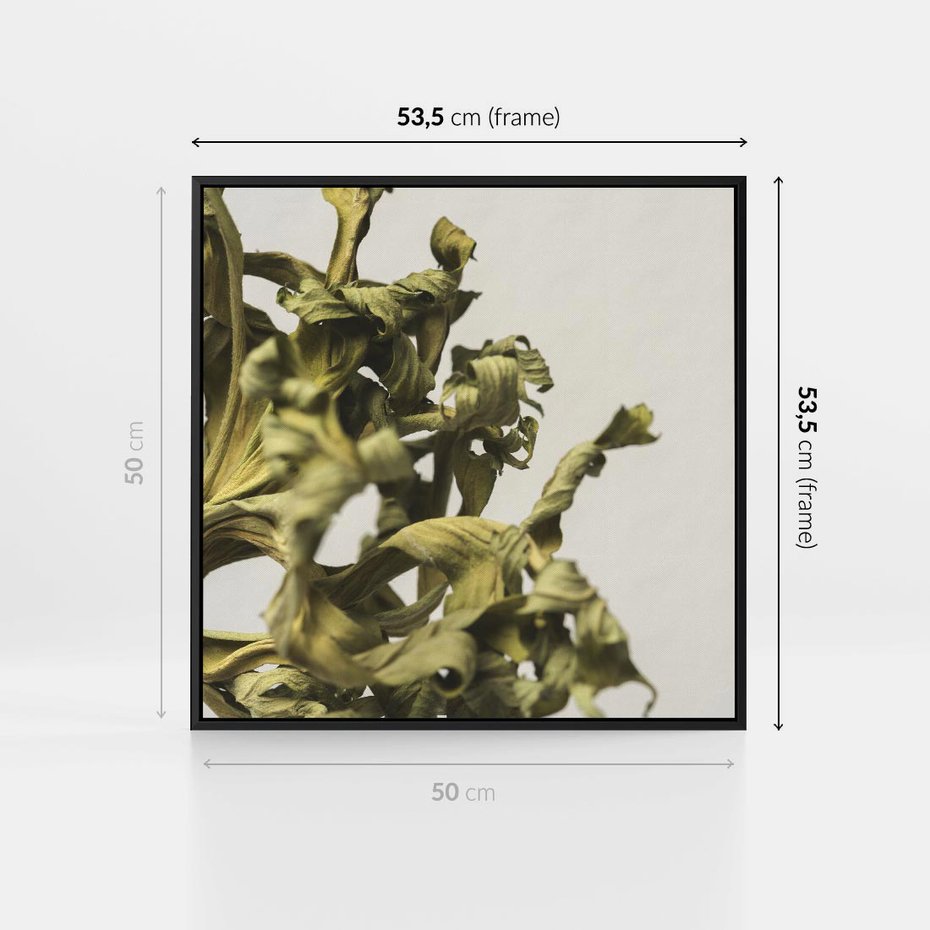 Obraz w ramie 50x50 - Odejście pory deszczowej - suche, trawy - rama czarna