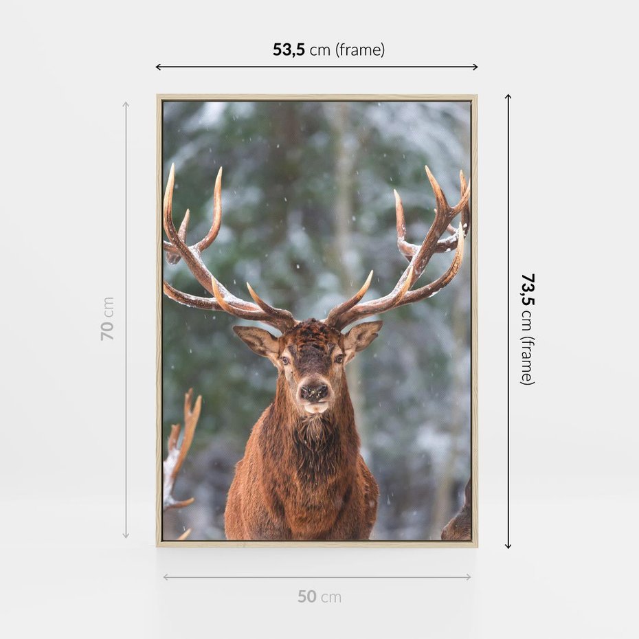 Obraz w ramie 50x70 - Monarcha Zimowej Dziczy - jeleń, zima - rama drewno