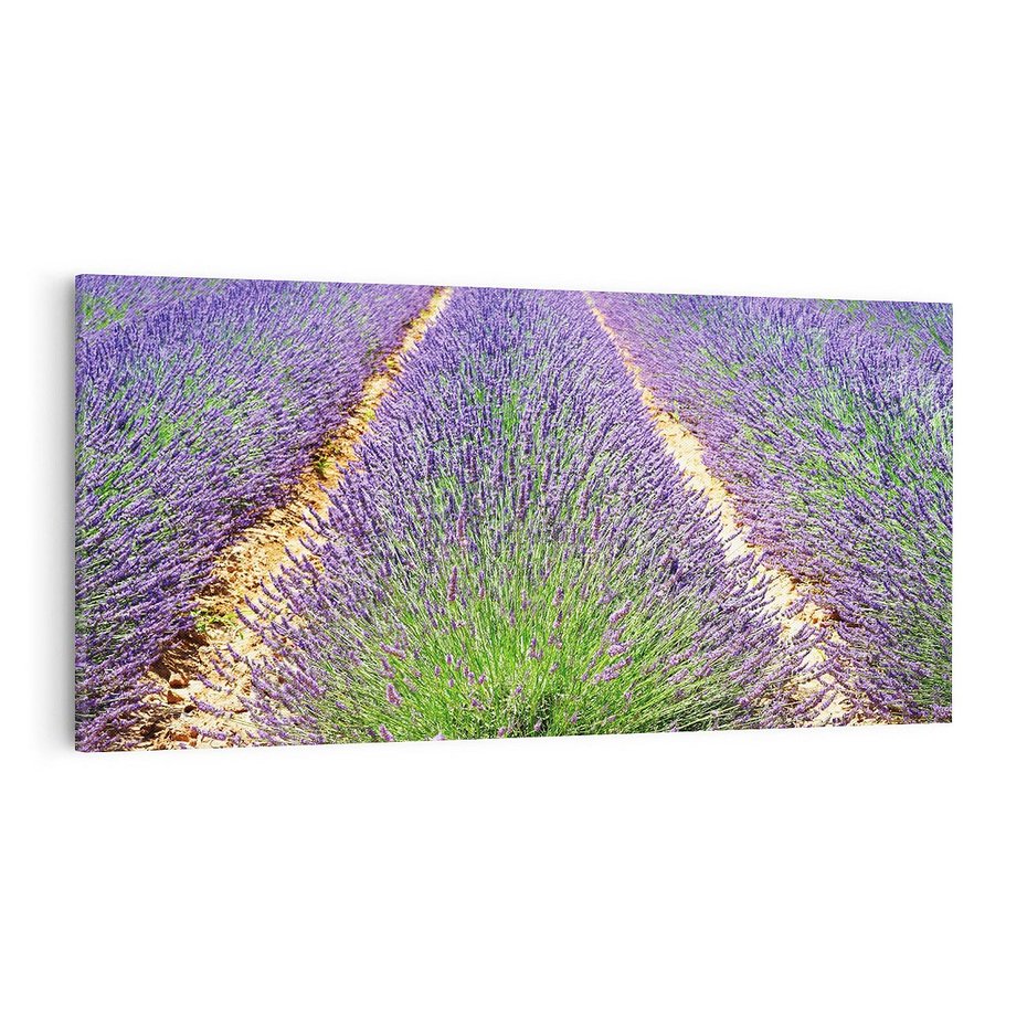 Obraz na płótnie 140x70 - Lawendowy kwiat - lawenda, kwiat