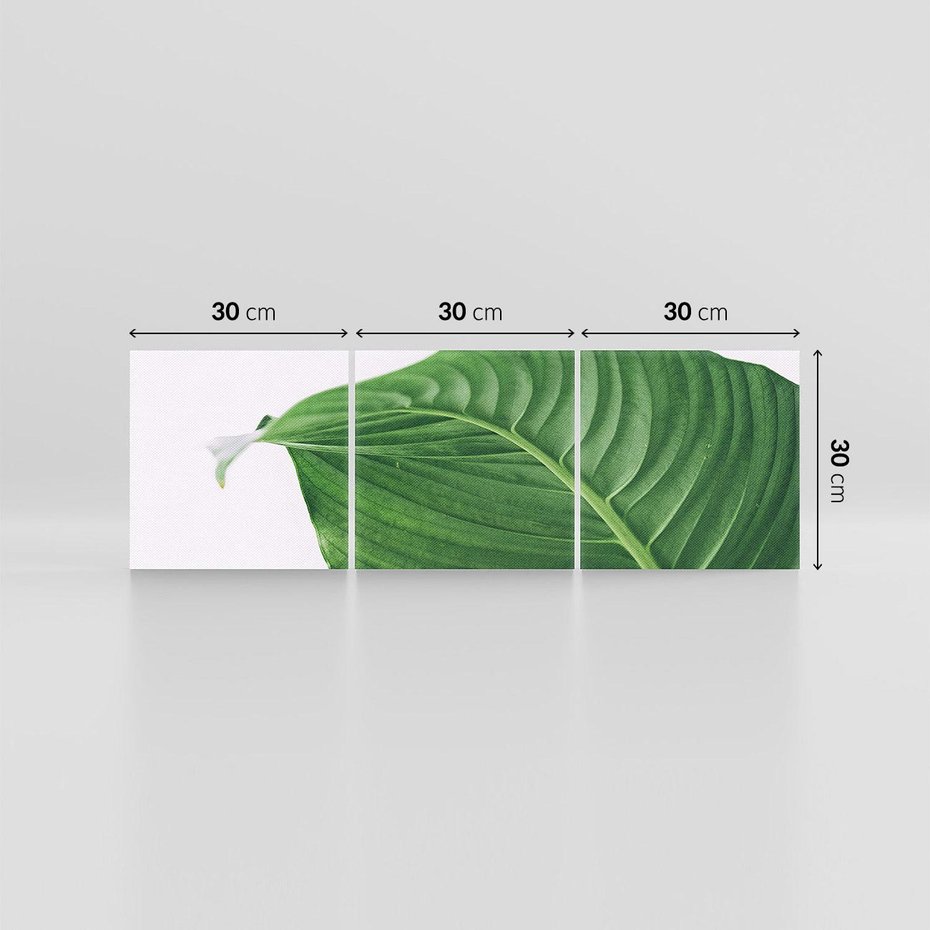 Obraz na płótnie 90x30 - Zielone liście monstery - liście, monstera