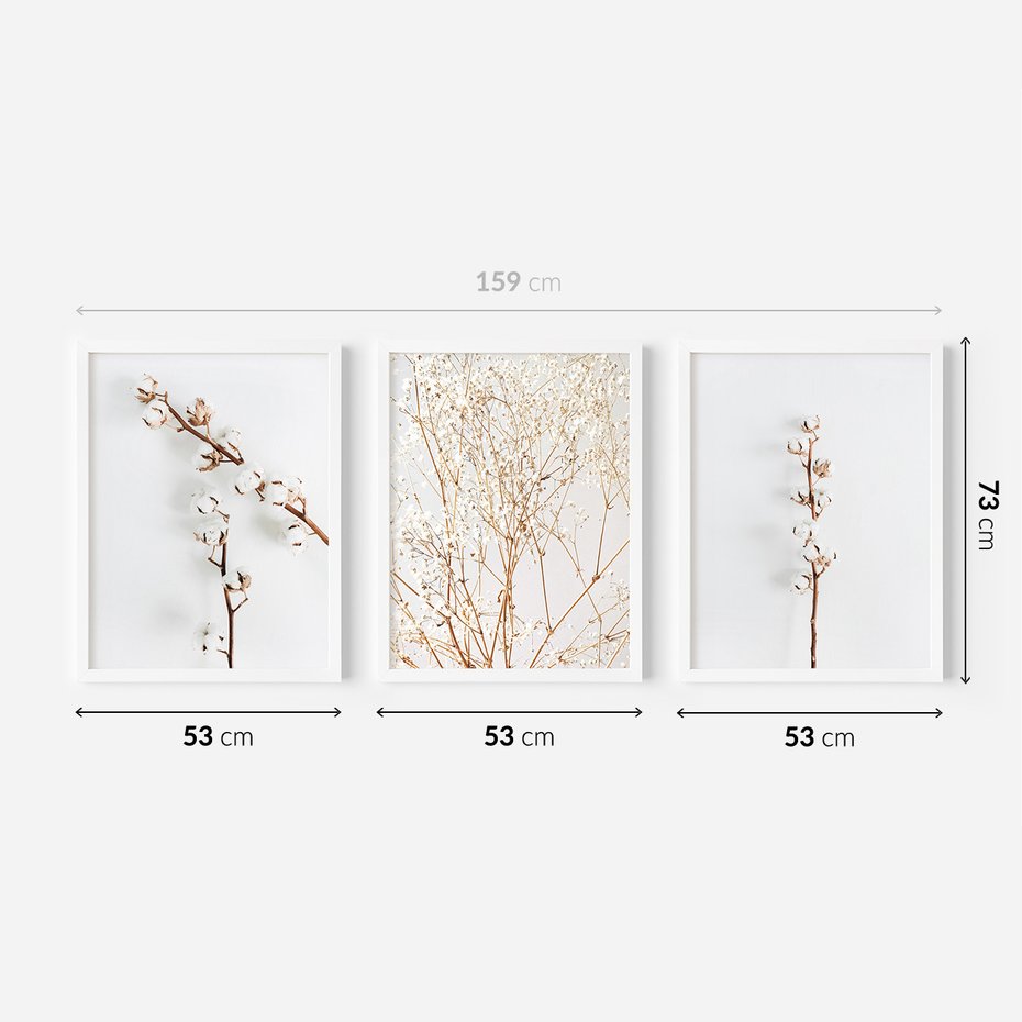 Zestaw obrazy w ramie 50x70 galeria - Gipsówka, bawełna, kwiaty, susz - rama biała