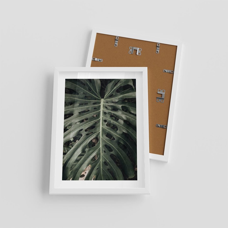 Plakat w ramie 30x40 - Majestatyczny Liść Monstery - liść monstery, majestatyczny liść - rama biała