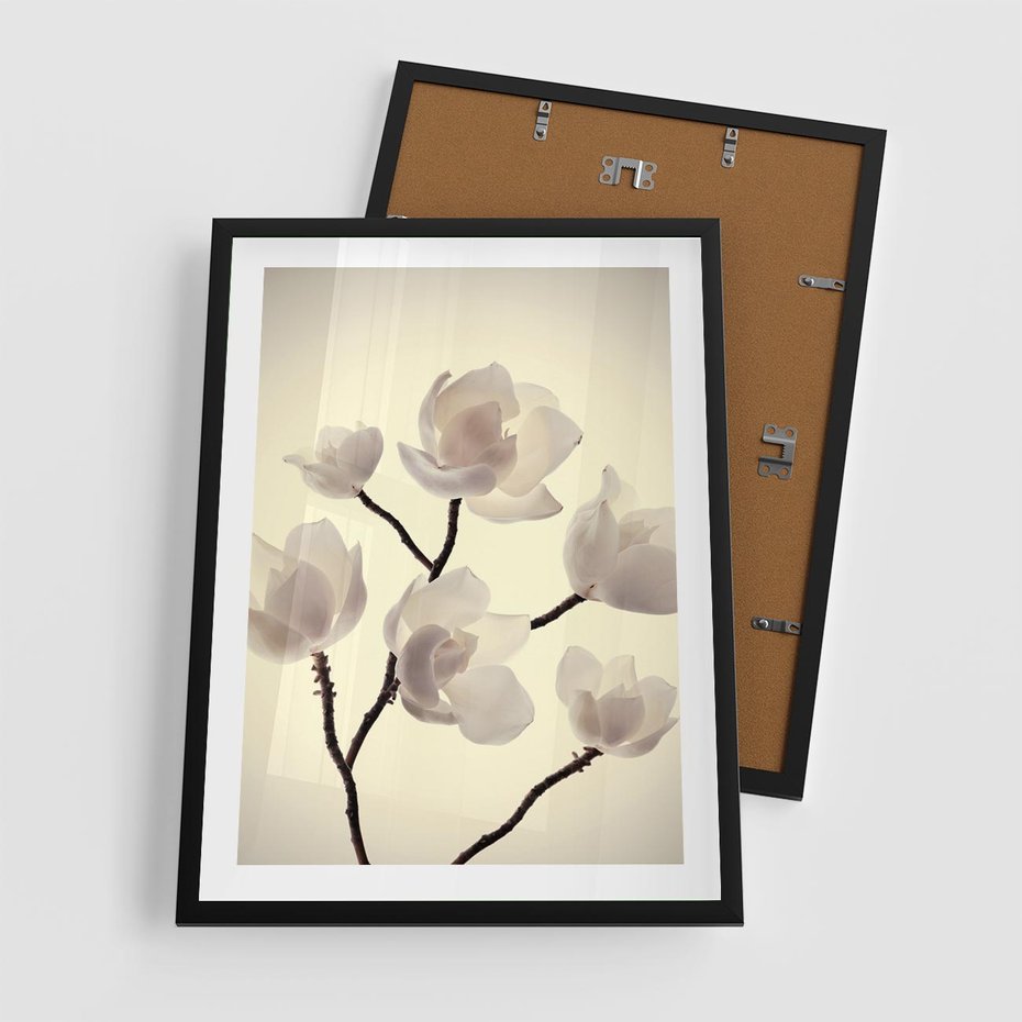 Plakat w ramie 50x70 - Elegancja Natury - magnolia, białe - rama czarna