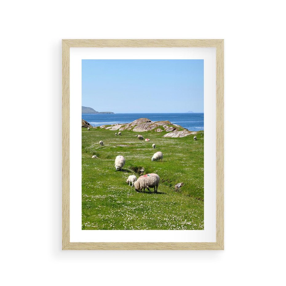 Plakat w ramie 30x40 - Górskie Owce - góry, owce - rama drewno