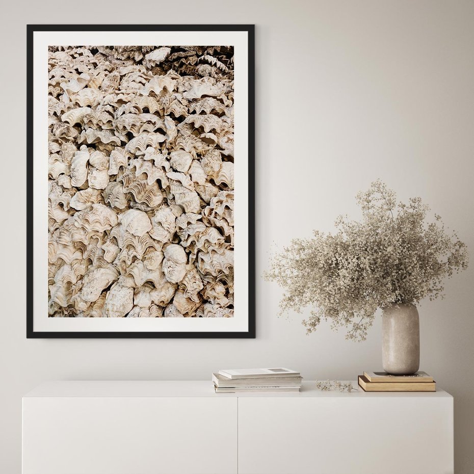 Plakat bez ramy 21x30 - Symfonia Natury - kompozycja z białych muszli