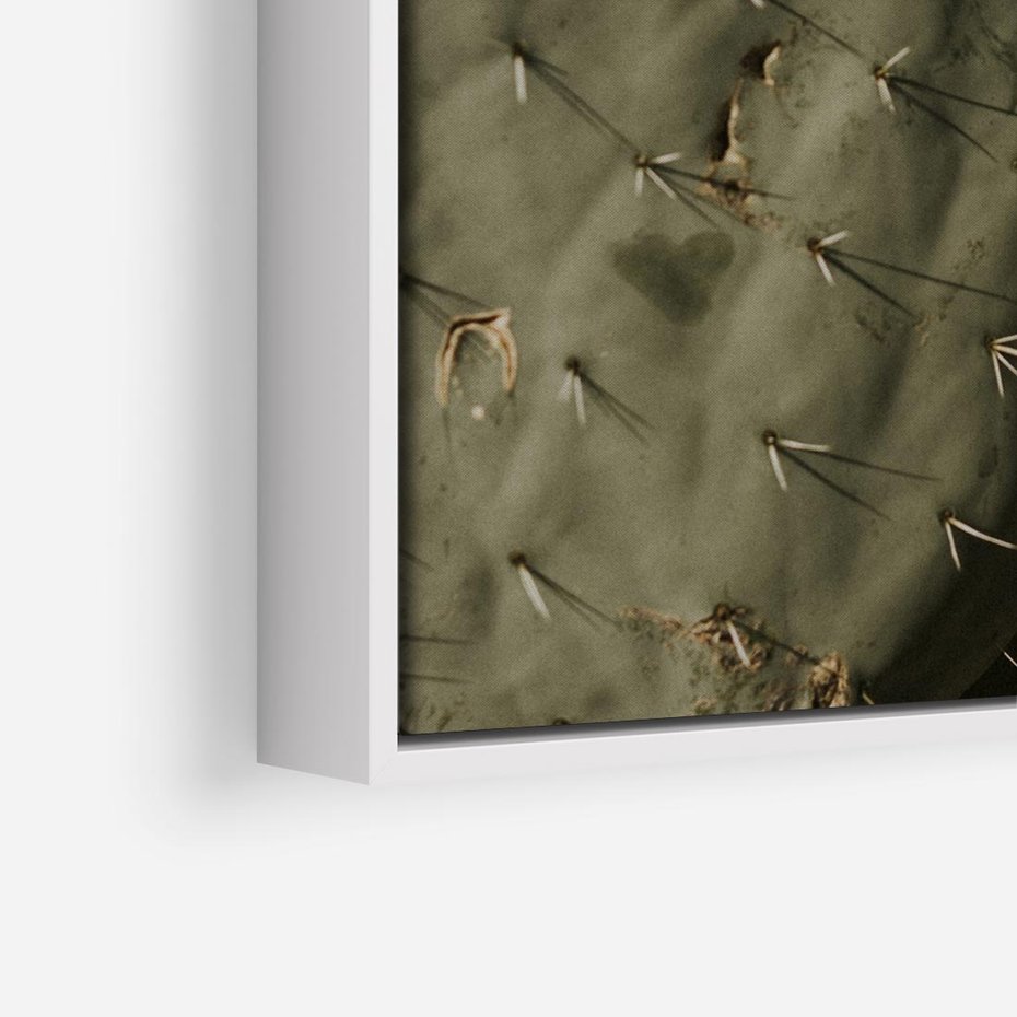 Obraz w ramie 50x50 - Urok Egzotyki - kaktusy, boho - rama biała