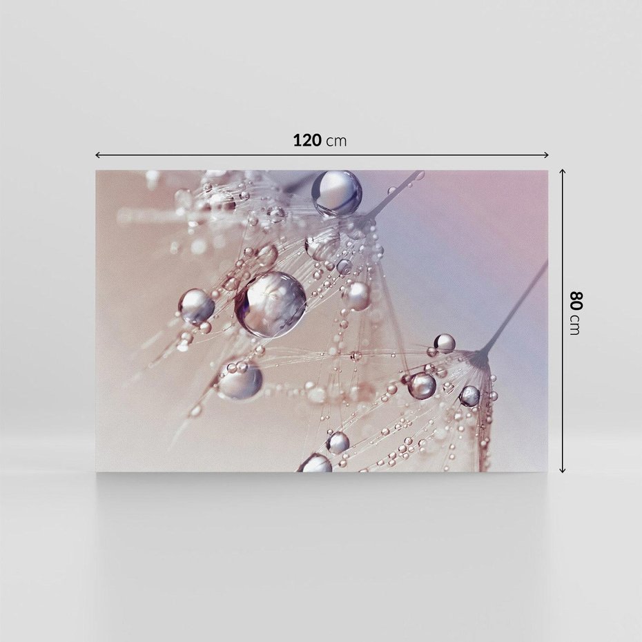 Obraz na płótnie 120x80 - Delikatne Natchnienie - krople, dmuchawce