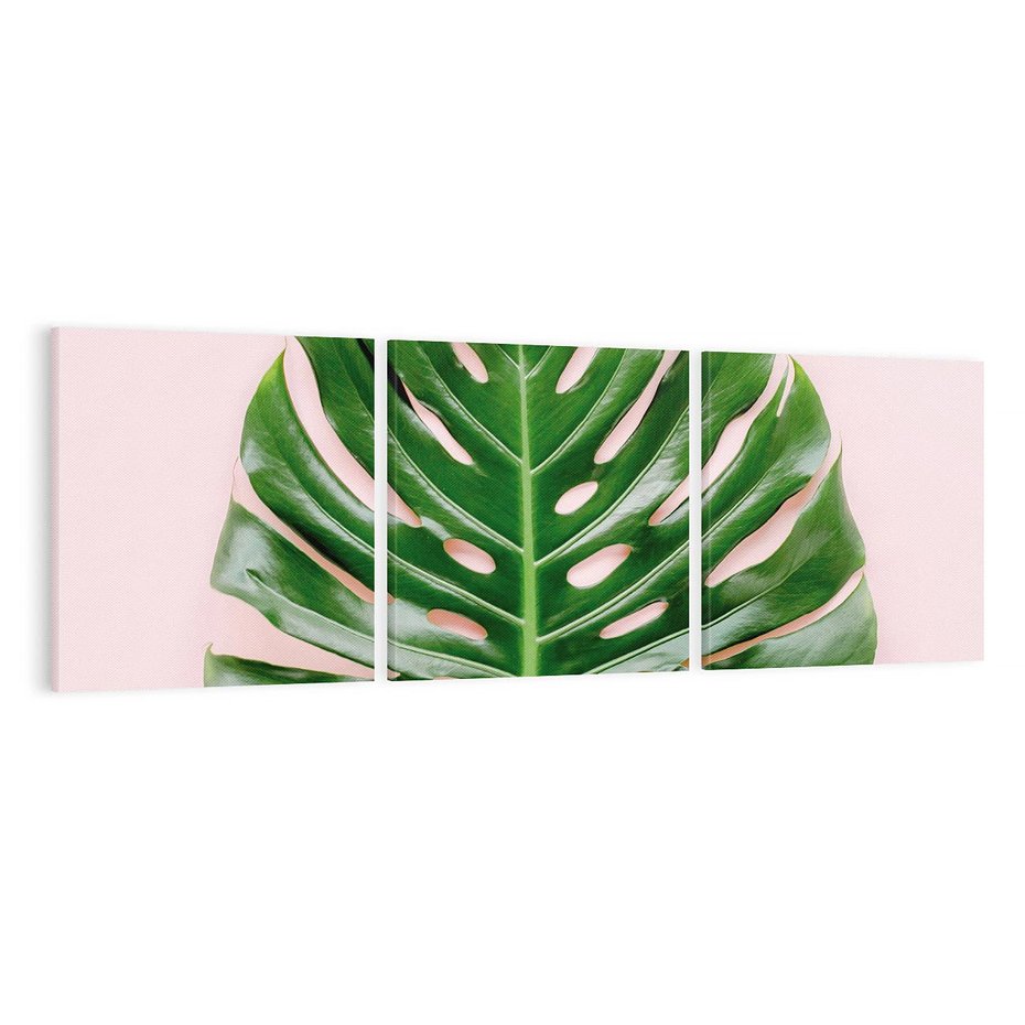 Obraz na płótnie 150x50 - Egzotyczna Roślinność - liście, monstera