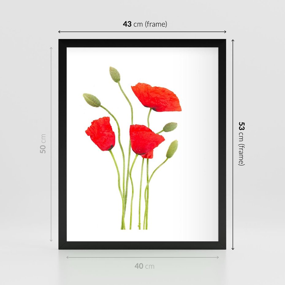 Plakat w ramie 40x50 - Pola maków w pełnym kolorze - maki, kwiaty - rama czarna