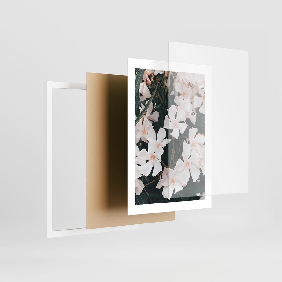 Plakat w ramie 30x40 - Egzotyczna Uroda - białe kwiaty, tropikalne kwiaty - rama biała