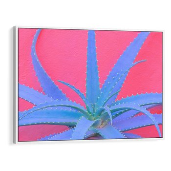 Obraz w ramie 70x50 - Piękno Pustyni - kaktusy, liście - rama biała