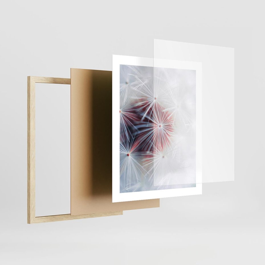 Plakat w ramie 40x50 - Minimalistyczna Delikatność - zbliżenie, dmuchawce - rama drewno