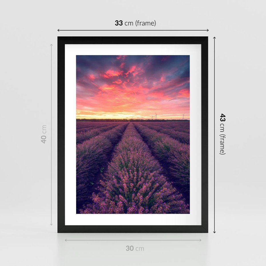 Plakat w ramie 30x40 - Różowe Niebo nad Polami - pola lawendy, zachód słońca - rama czarna