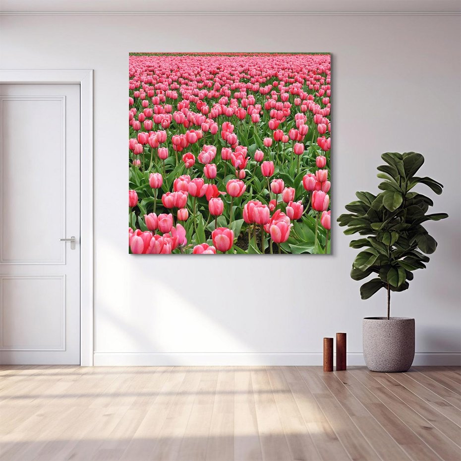 Obraz na płótnie 50x50 - Tulipanowe Elegancja - tulipany, kwiat
